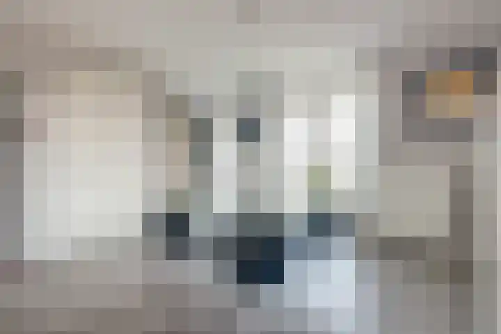 Zwedenstraat 28 De Lier thumbnail 15