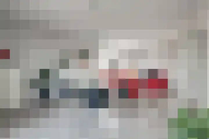 Zwedenstraat 28 De Lier thumbnail 17
