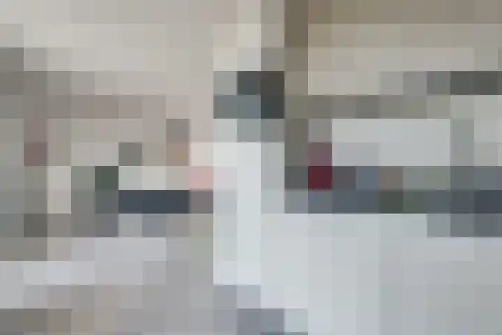 Zwedenstraat 28 De Lier thumbnail 18