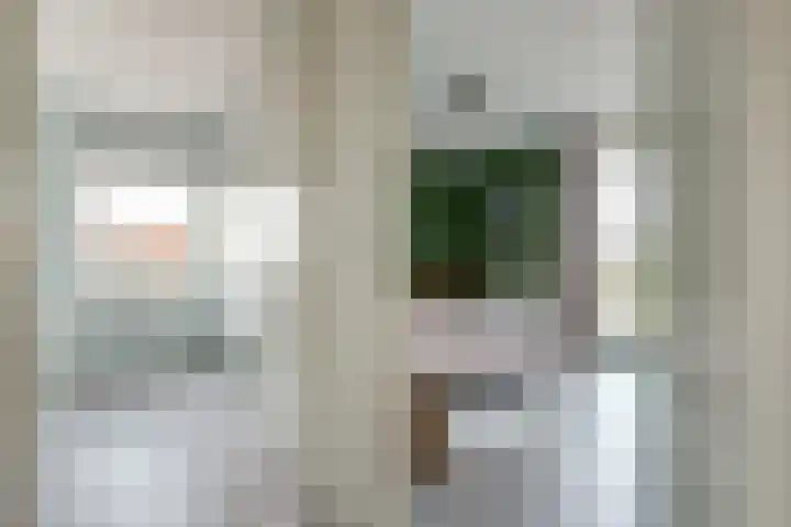 Zwedenstraat 28 De Lier thumbnail 19