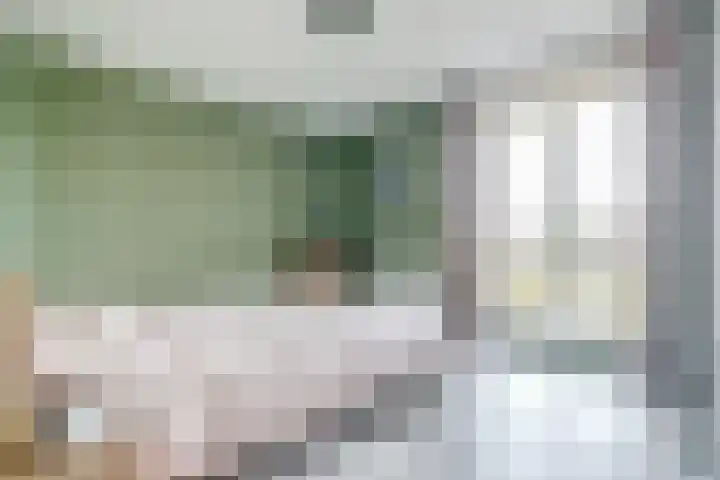 Zwedenstraat 28 De Lier thumbnail 20