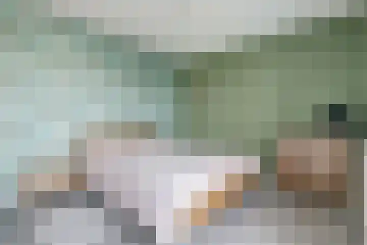 Zwedenstraat 28 De Lier thumbnail 21