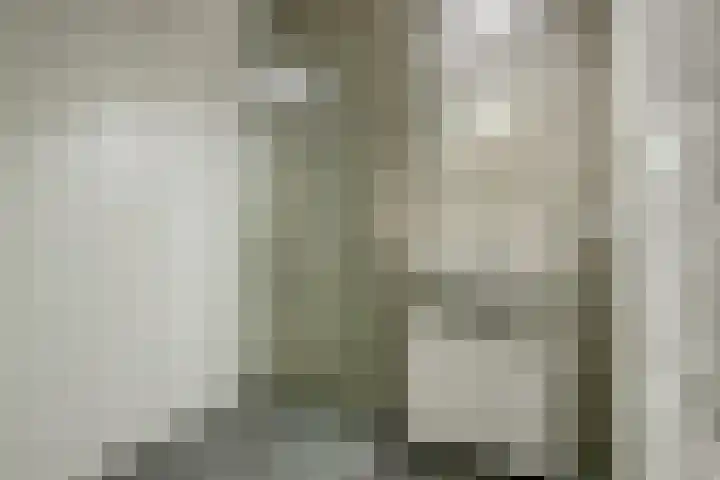 Zwedenstraat 28 De Lier thumbnail 22