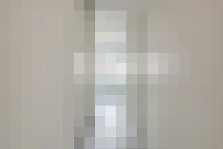 Zwedenstraat 28 De Lier thumbnail 24