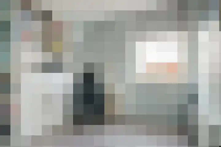 Zwedenstraat 28 De Lier thumbnail 25