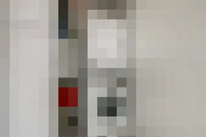 Zwedenstraat 28 De Lier thumbnail 27