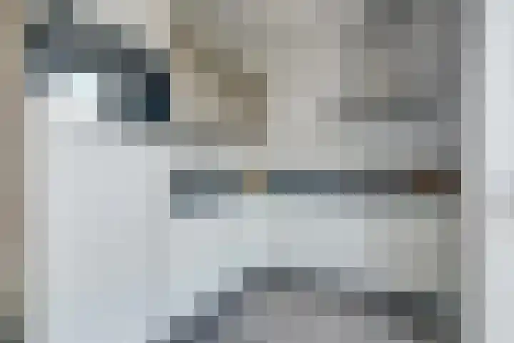 Zwedenstraat 28 De Lier thumbnail 4