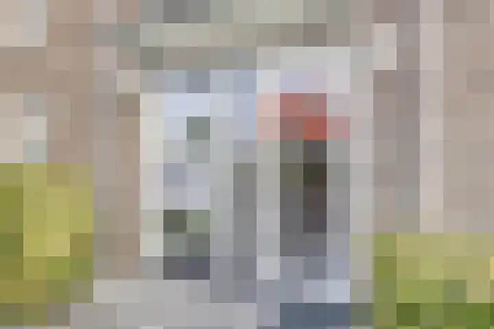 Zwedenstraat 28 De Lier thumbnail 6