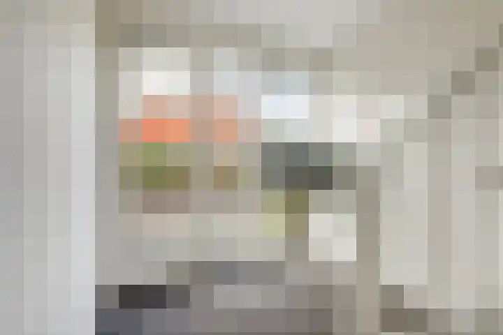Zwedenstraat 28 De Lier thumbnail 7