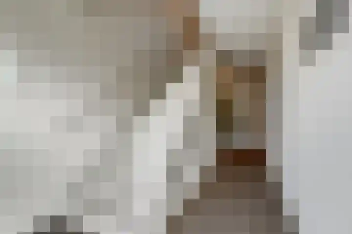 Zwedenstraat 28 De Lier thumbnail 8