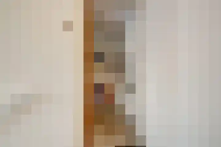 Zwedenstraat 28 De Lier thumbnail 9