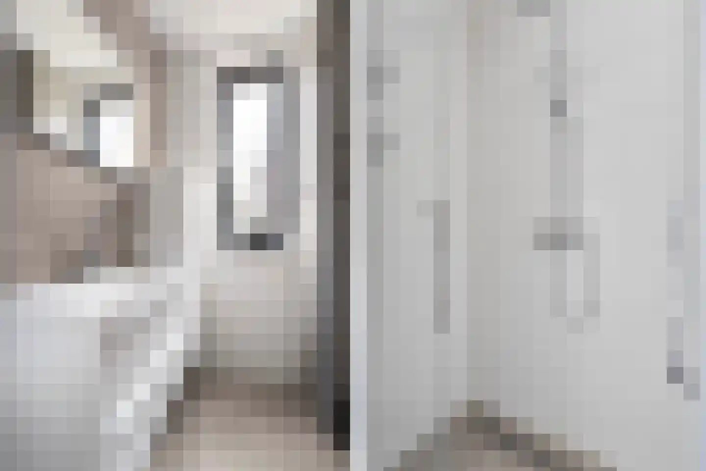 Zwedenstraat 39 E Almere thumbnail 34