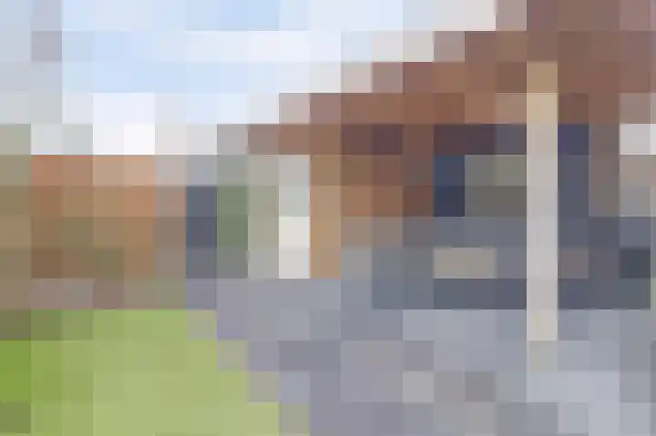 Zweder van Vianenstraat 29 Culemborg thumbnail 32