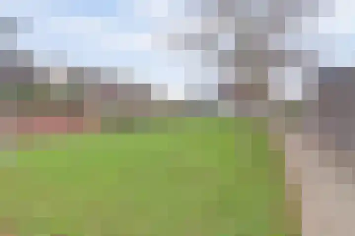 Zweder van Vianenstraat 29 Culemborg thumbnail 45