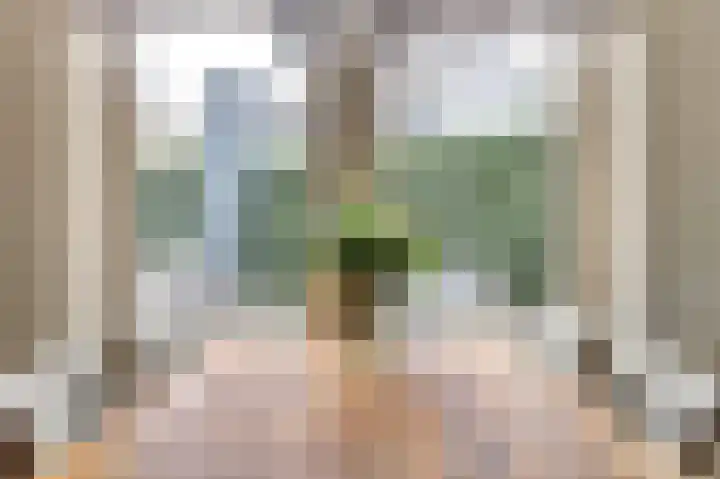 Zweder van Vianenstraat 29 Culemborg thumbnail 9