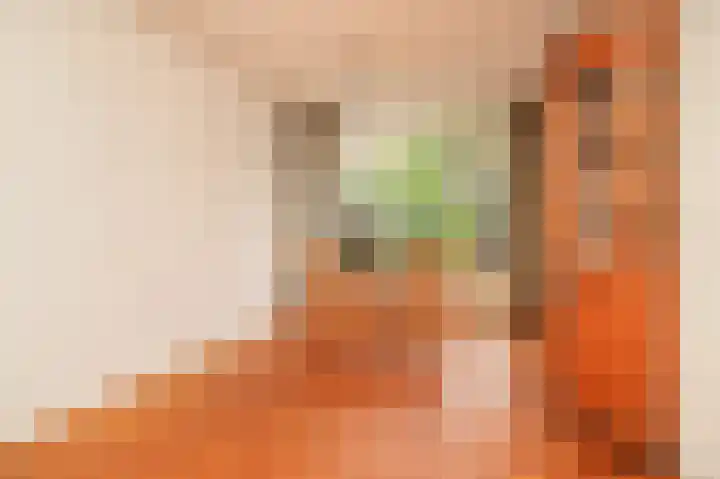 Zweder van Zuylenlaan 15 Werkhoven thumbnail 14