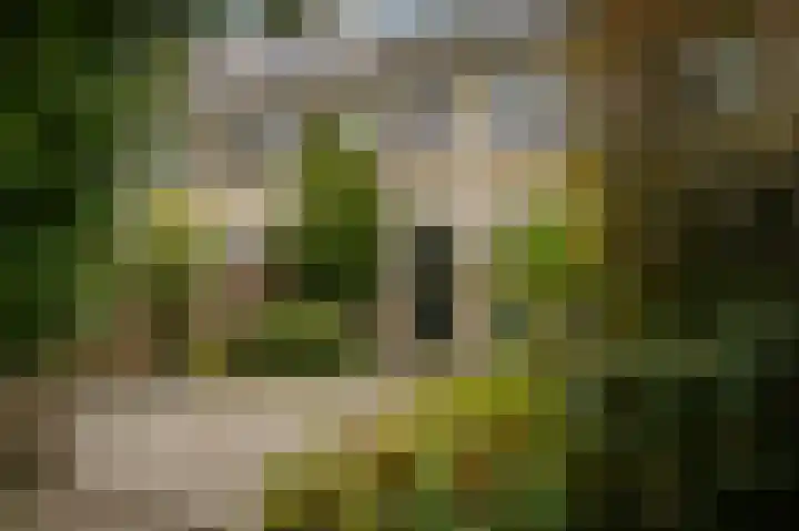 Zweder van Zuylenlaan 15 Werkhoven thumbnail 32