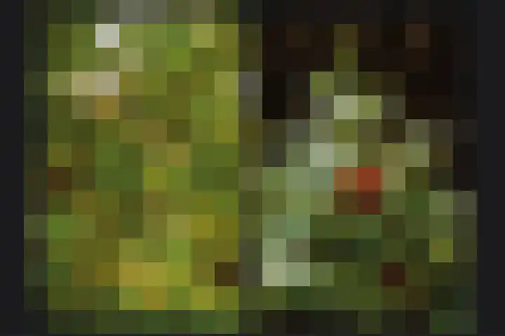 Zweder van Zuylenlaan 15 Werkhoven thumbnail 35