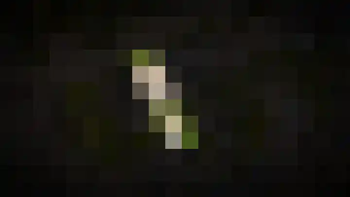 Zweder van Zuylenlaan 15 Werkhoven thumbnail 36
