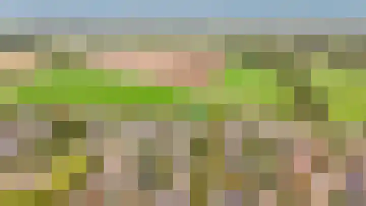 Zweder van Zuylenlaan 15 Werkhoven thumbnail 39