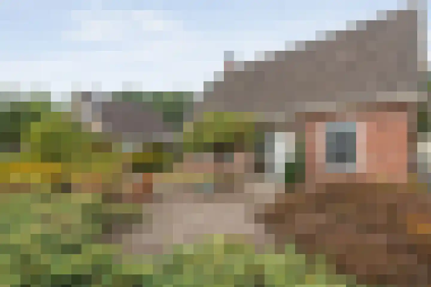 Zwederaweg 90 Ruinen thumbnail 16