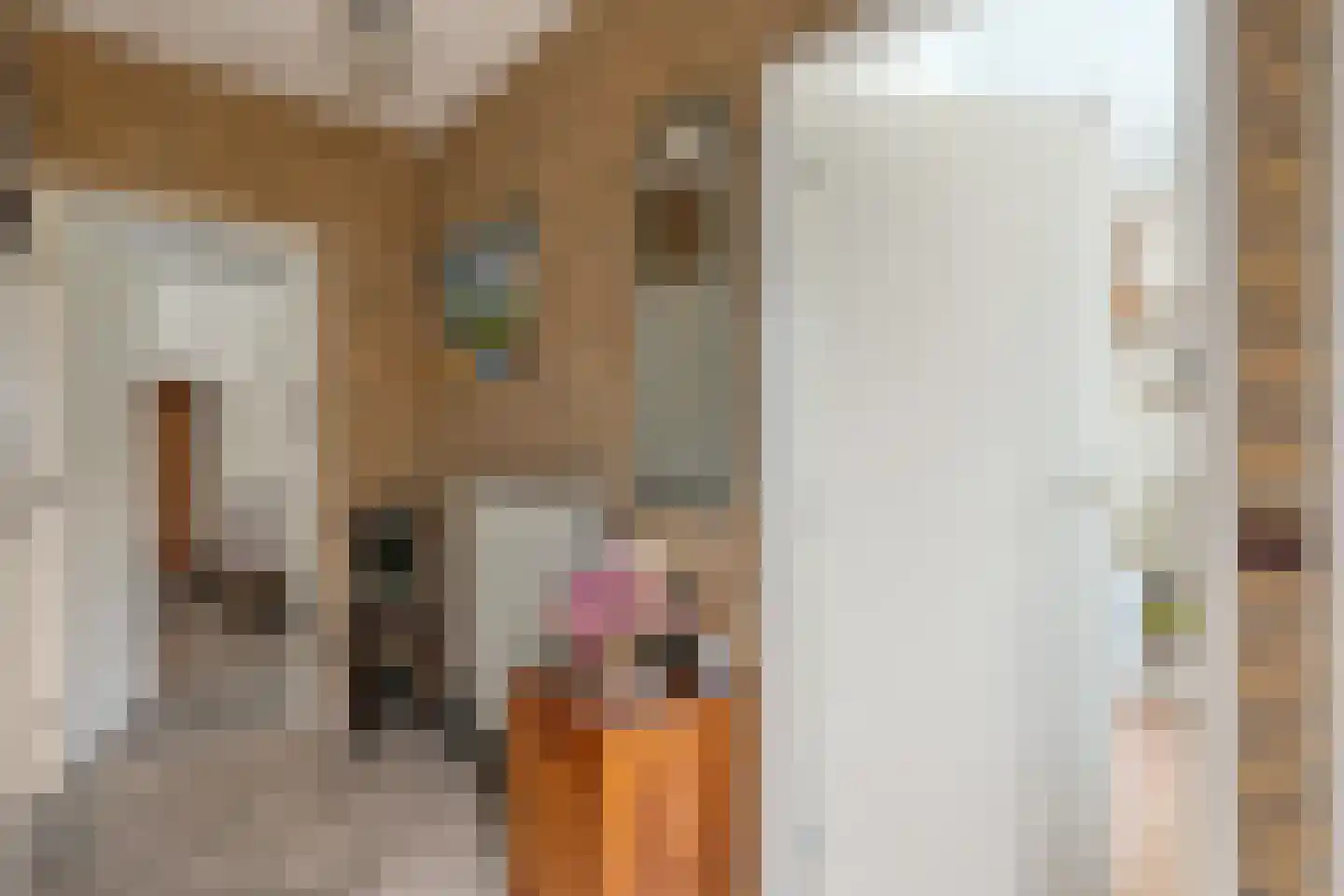 Zwederaweg 90 Ruinen thumbnail 20