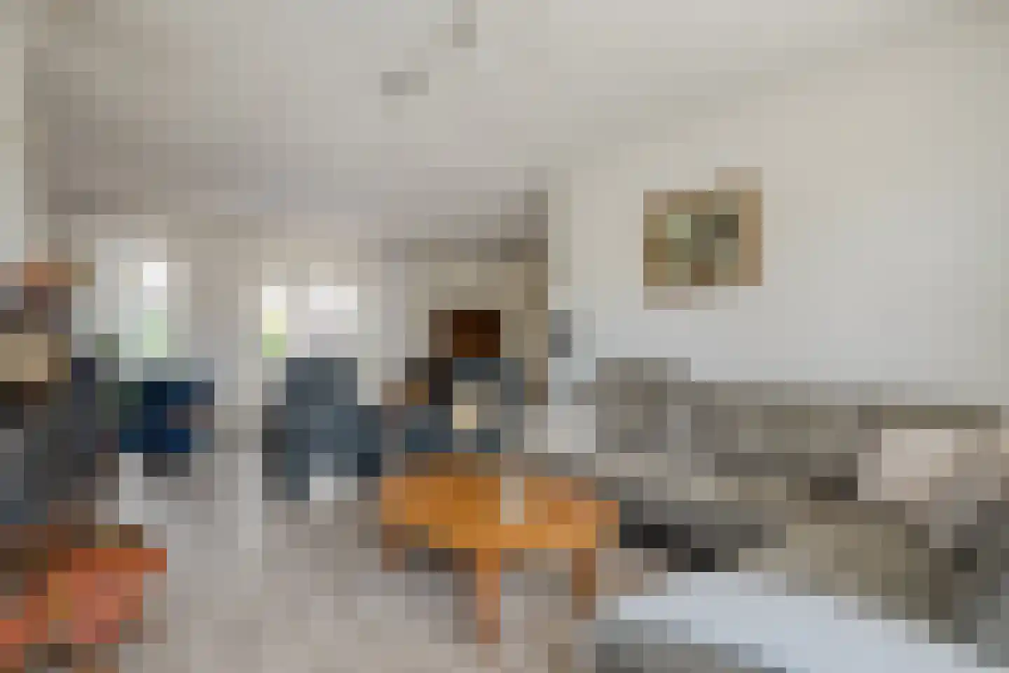 Zwederaweg 90 Ruinen foto 3