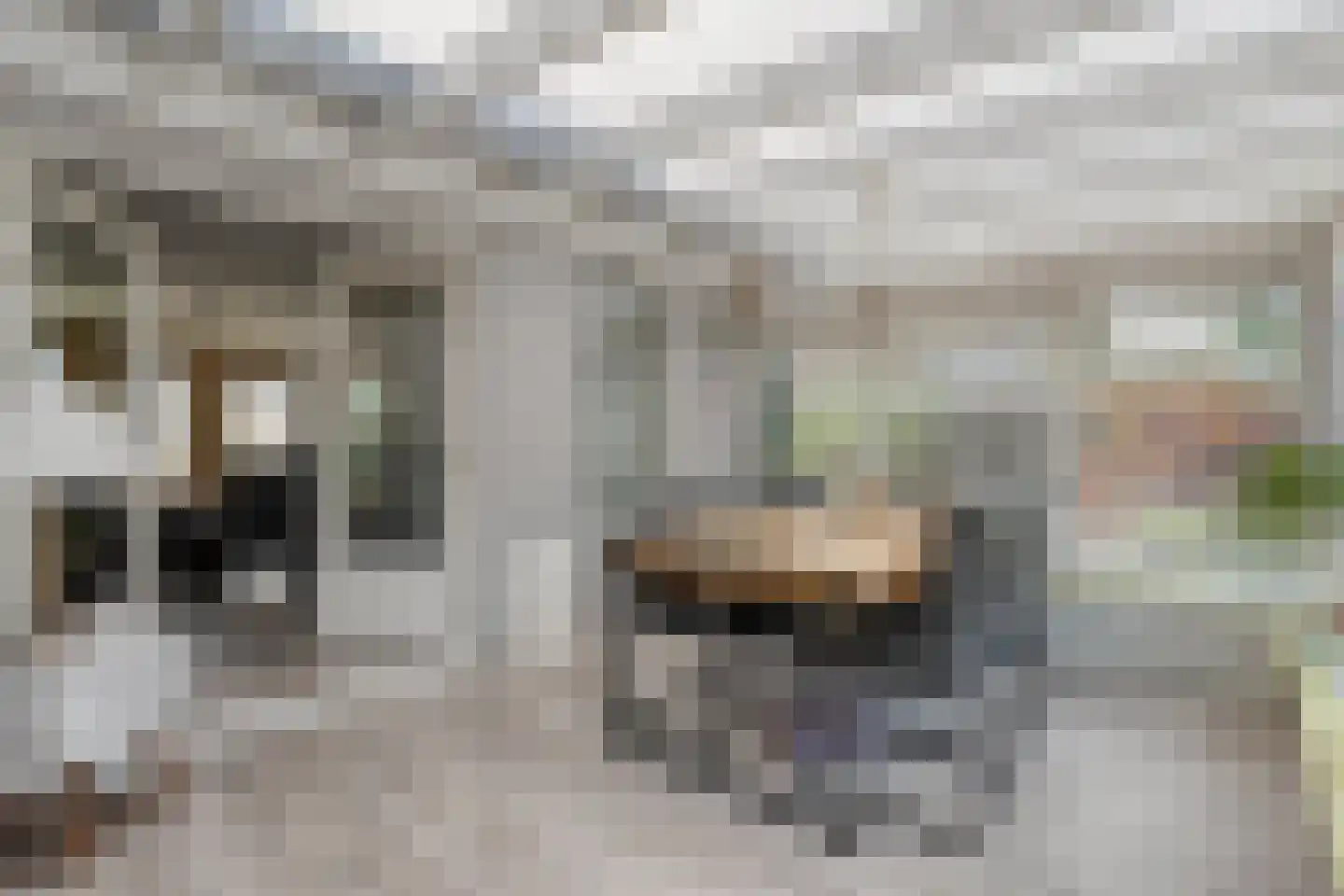 Zwederaweg 90 Ruinen thumbnail 5