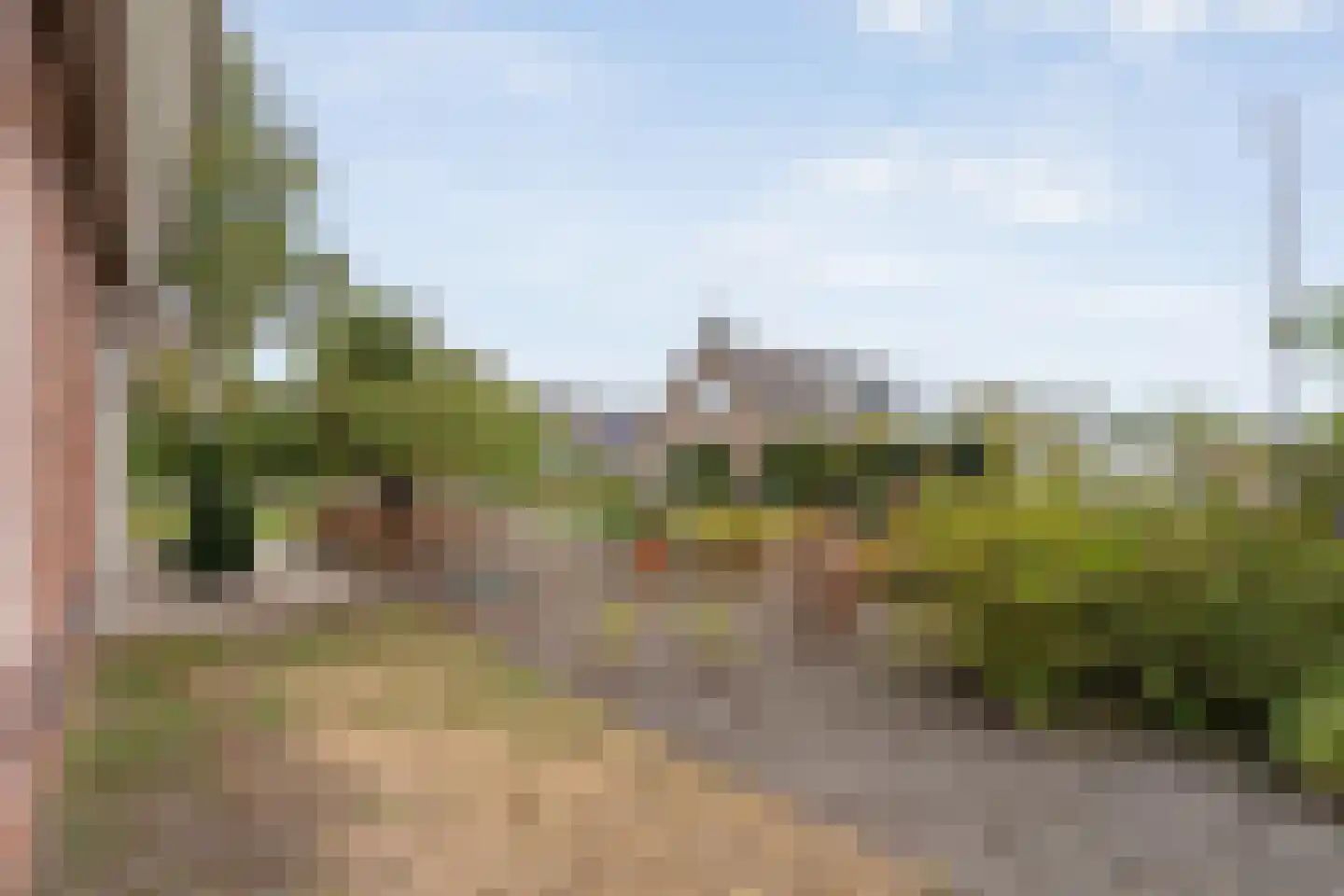 Zwederaweg 90 Ruinen thumbnail 58