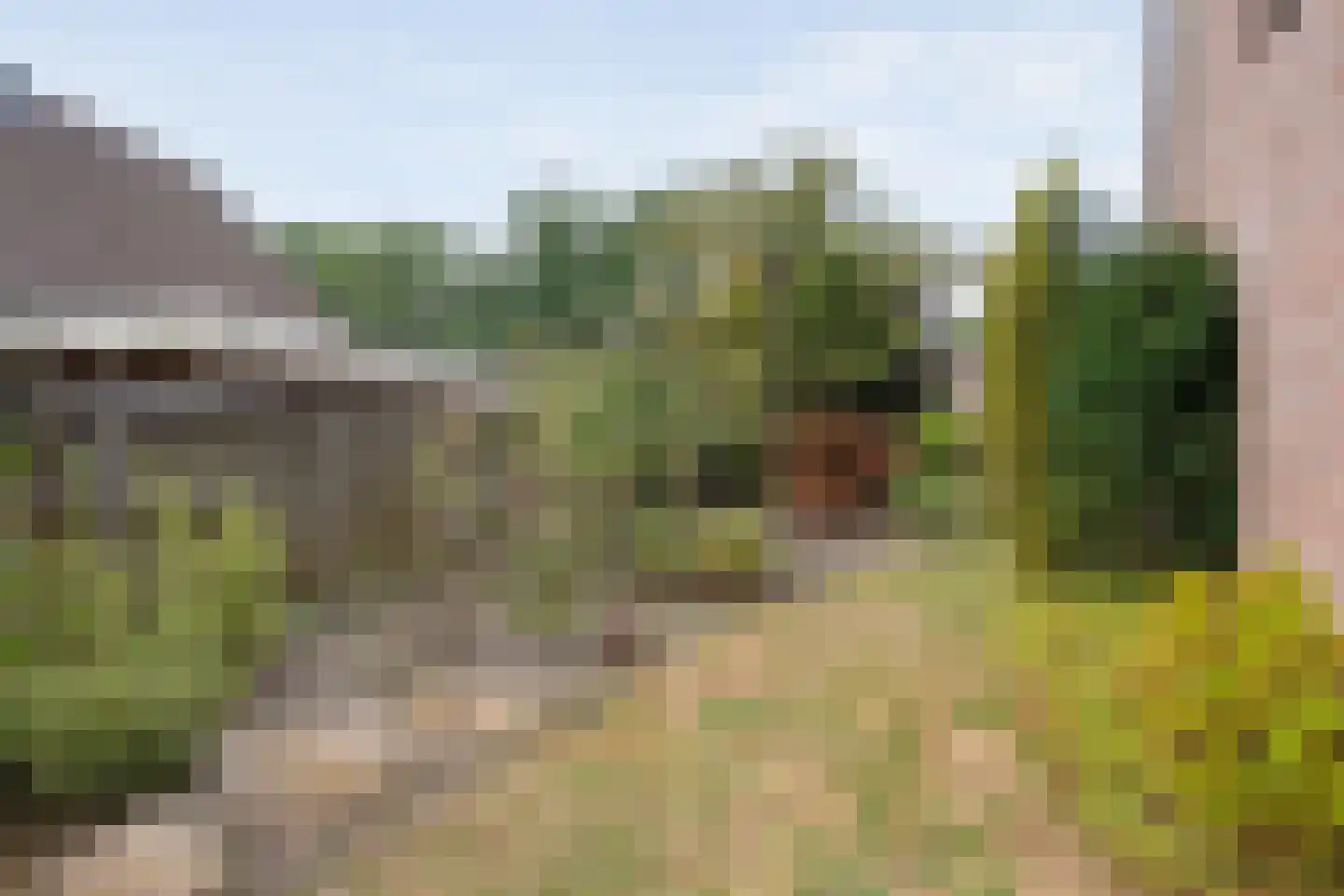 Zwederaweg 90 Ruinen thumbnail 60