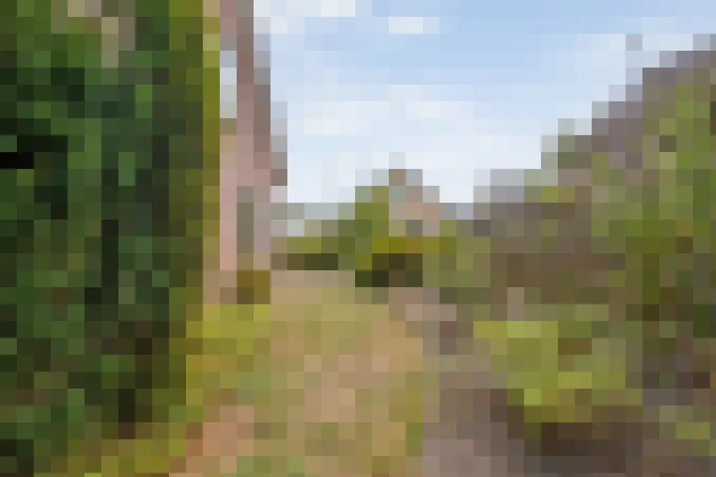 Zwederaweg 90 Ruinen thumbnail 61