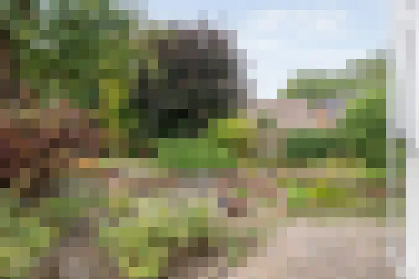 Zwederaweg 90 Ruinen thumbnail 62