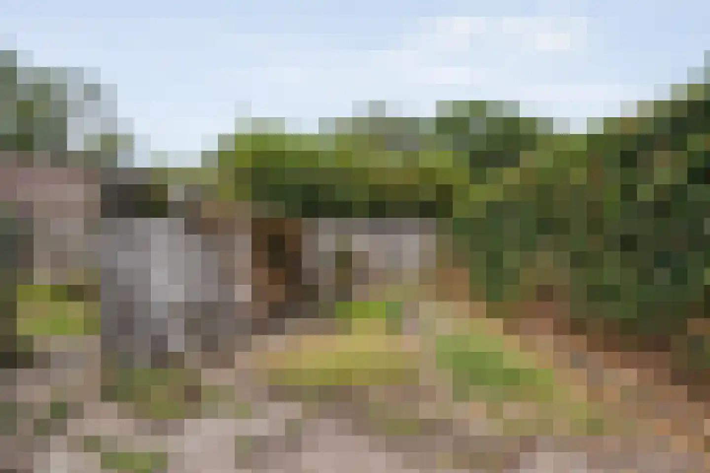Zwederaweg 90 Ruinen thumbnail 68