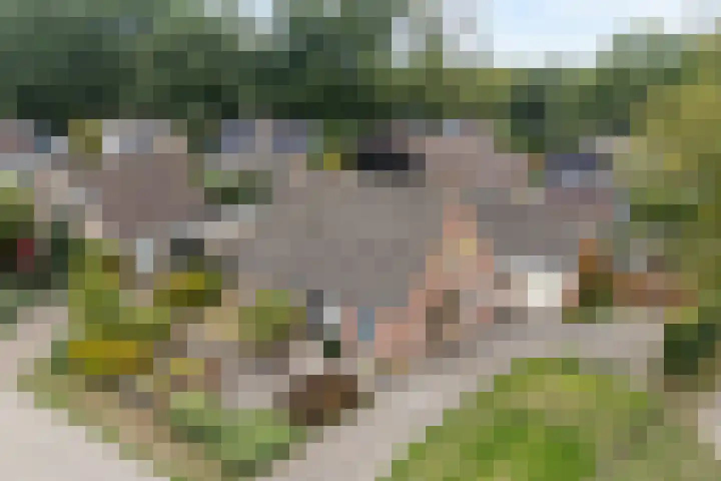 Zwederaweg 90 Ruinen thumbnail 8