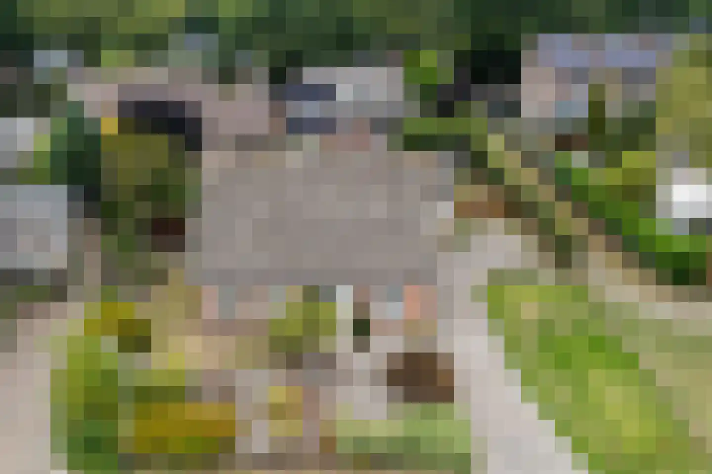 Zwederaweg 90 Ruinen thumbnail 9