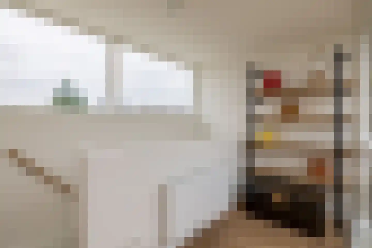 Zwederstraat 16 B Rotterdam thumbnail 33