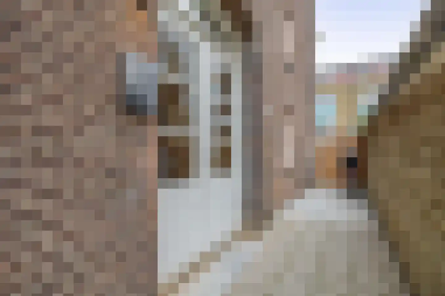 Zwederstraat 16 B Rotterdam thumbnail 8