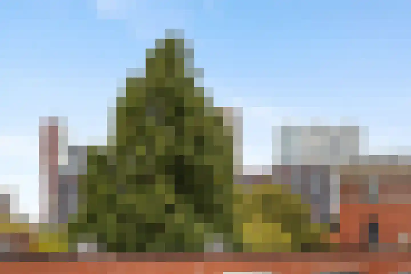 Zwederstraat 16 D Rotterdam thumbnail 36