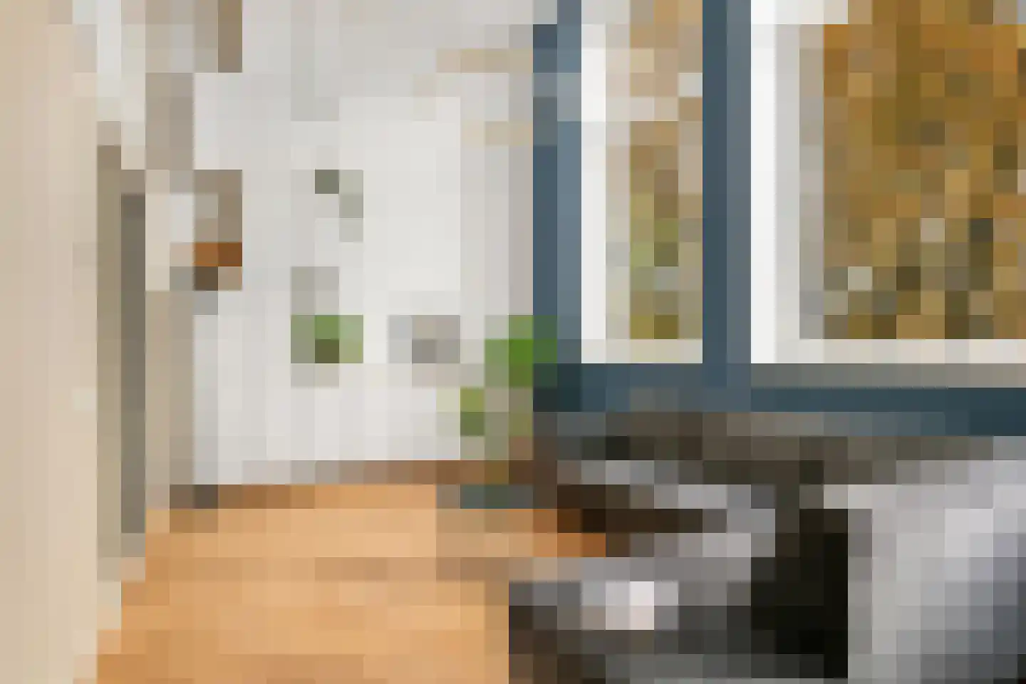 Zwederstraat 16 D Rotterdam thumbnail 8
