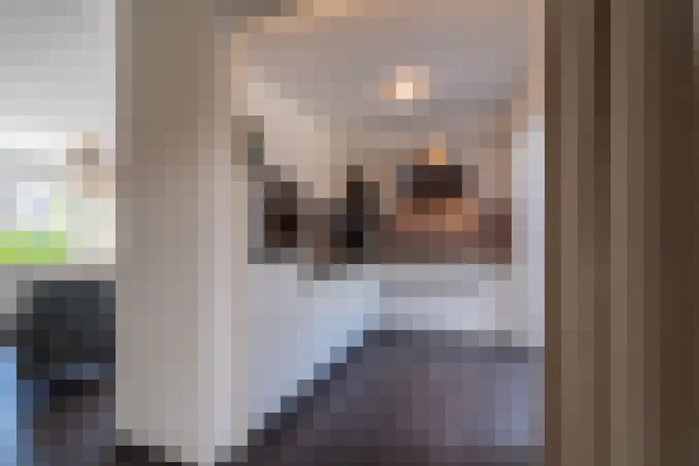 Zweedijkseweg 33 Yerseke thumbnail 13