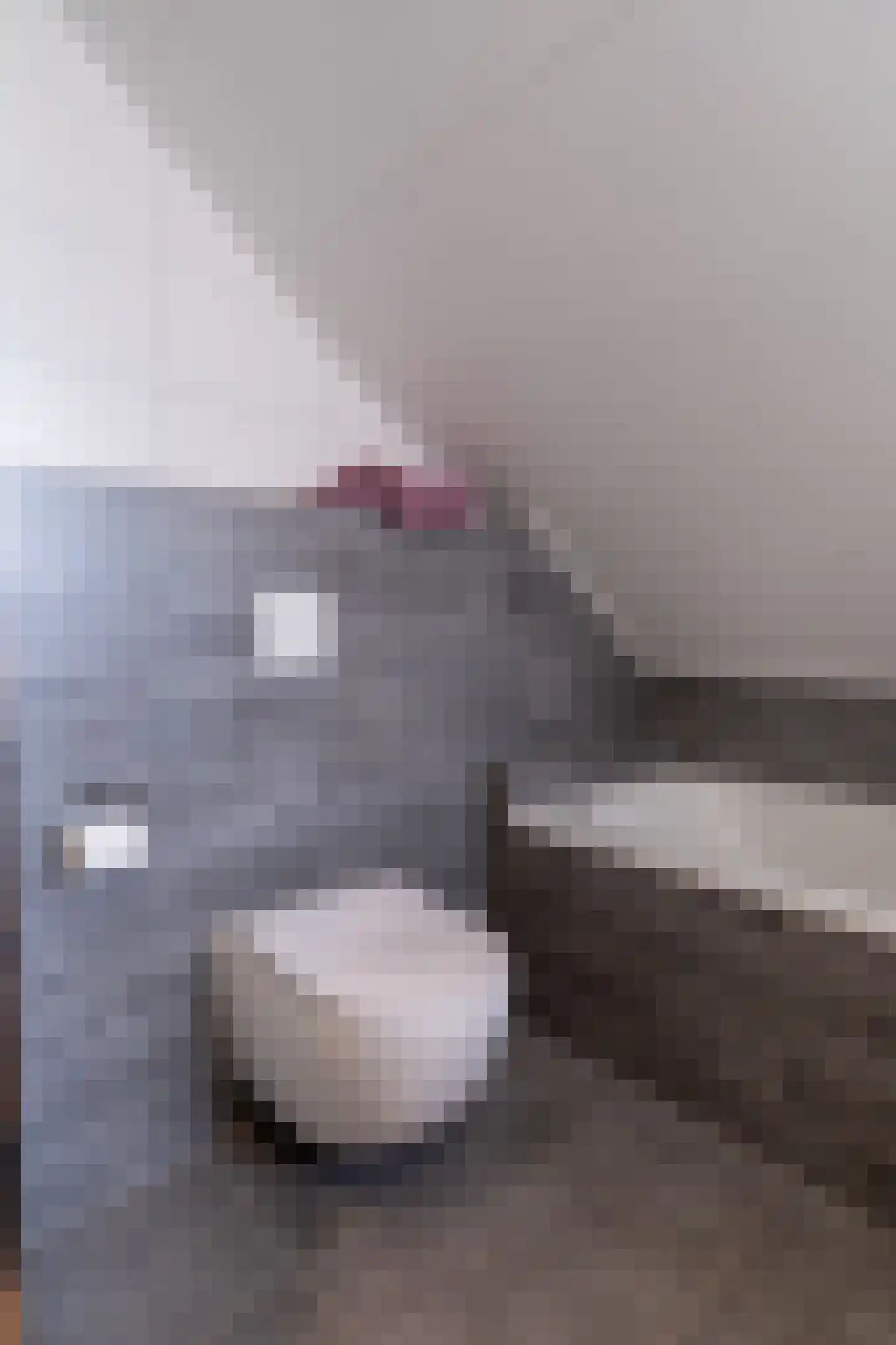 Zweedijkseweg 33 Yerseke thumbnail 32