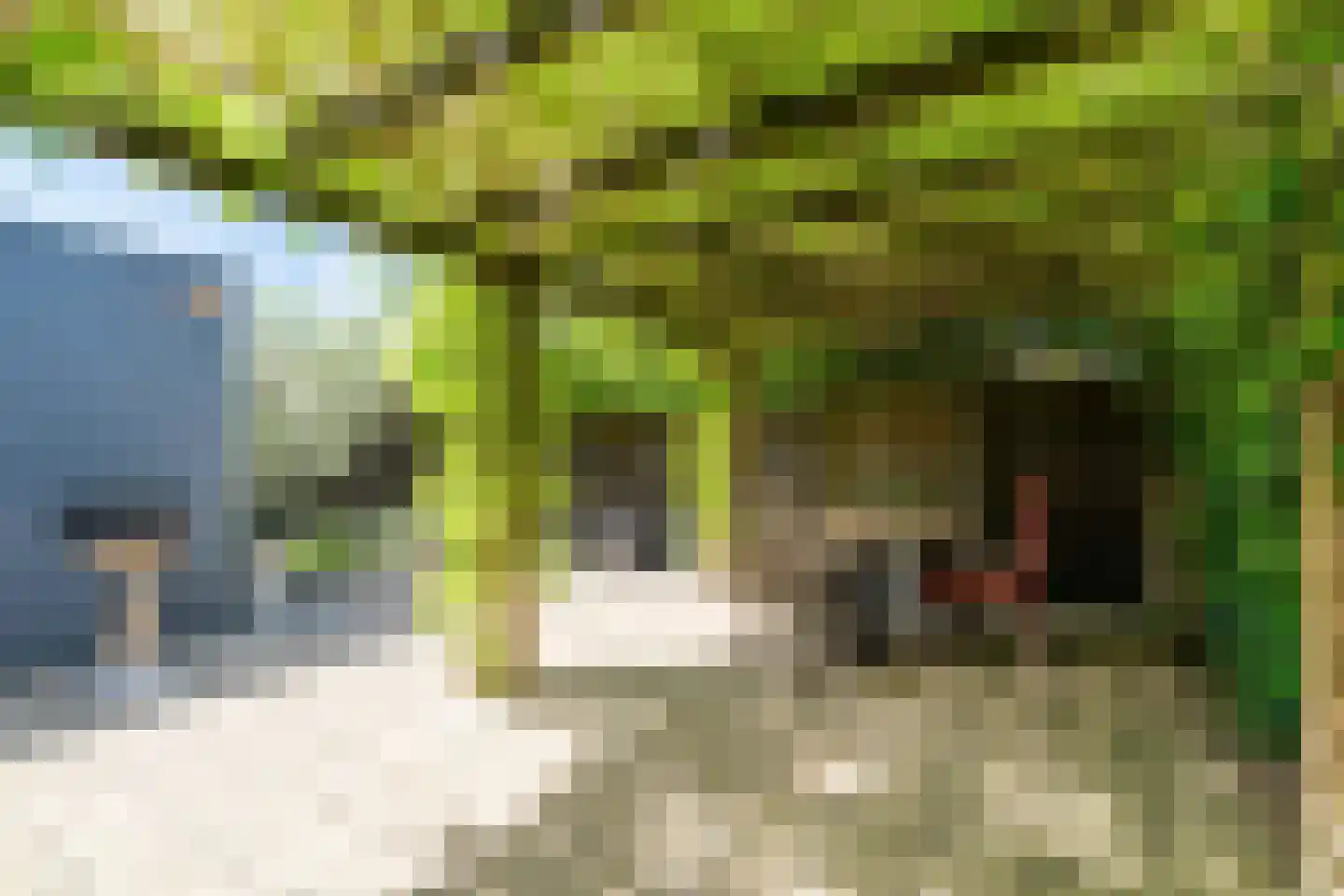 Zweedijkseweg 33 Yerseke thumbnail 38