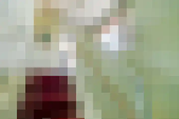 Zweedseplein 6 Abbenbroek thumbnail 14