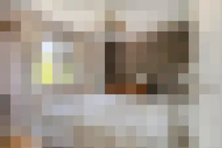 Zweedseplein 6 Abbenbroek thumbnail 17