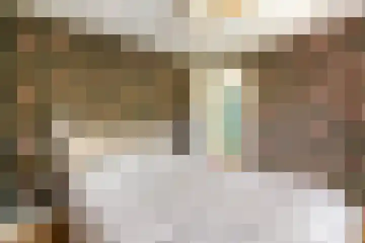 Zweedseplein 6 Abbenbroek thumbnail 18