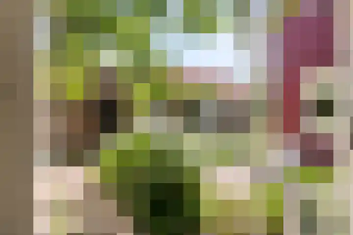 Zweedseplein 6 Abbenbroek thumbnail 23