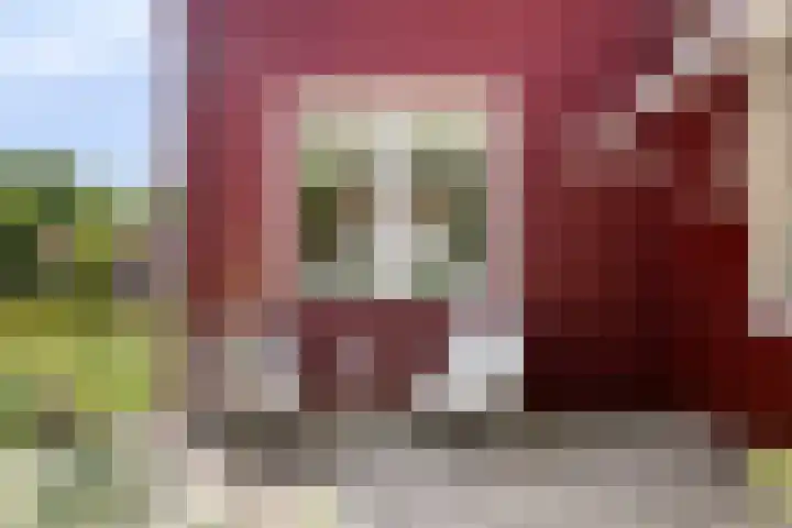 Zweedseplein 6 Abbenbroek thumbnail 24