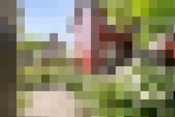 Zweedseplein 6 Abbenbroek thumbnail 25