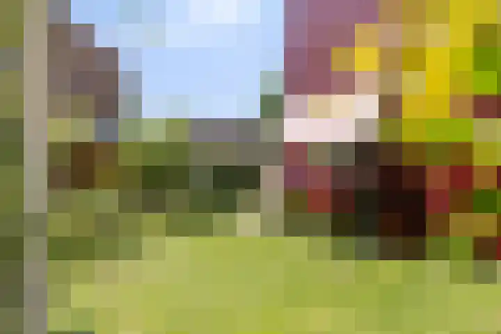 Zweedseplein 6 Abbenbroek thumbnail 26