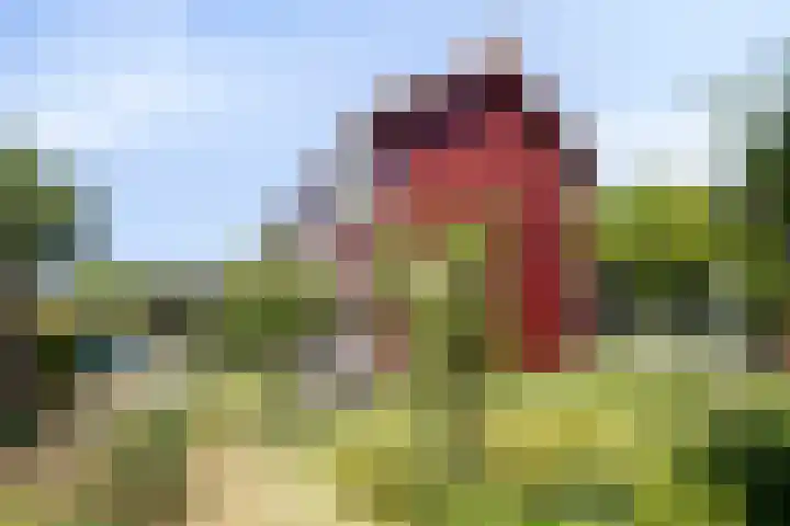 Zweedseplein 6 Abbenbroek thumbnail 27